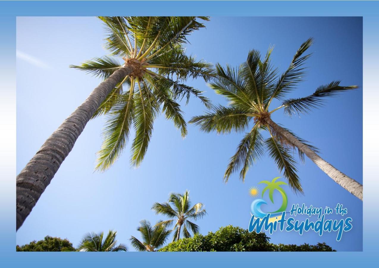 Ocean Views 16 Pool & Spa Wi-Fi Airlie Beach Ngoại thất bức ảnh